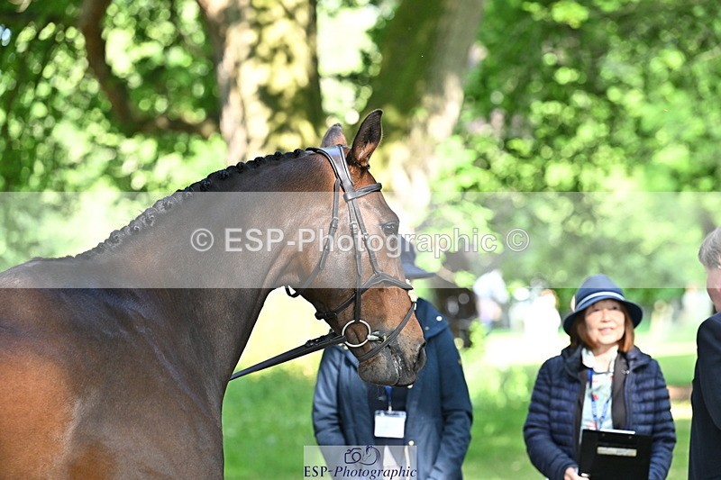 250521A-165040-01373 - C-266-Izzi.Best-BROCKAGH.DOR