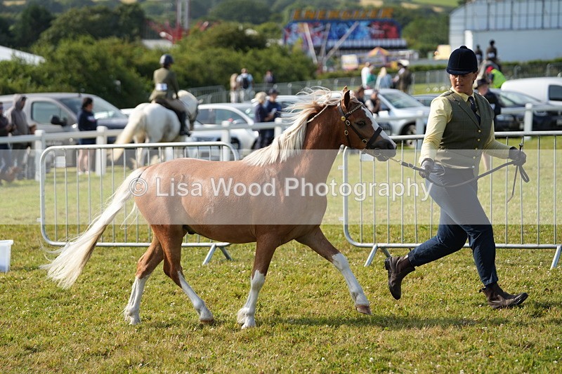 DSC04978 - Class 48: NPS M&M 2/3 year olds