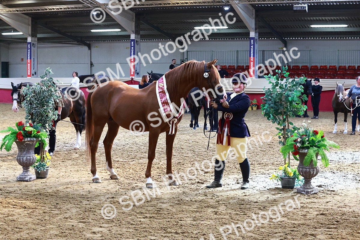 SBM_22433 - Class 902 - Supreme Final - IH Diamond