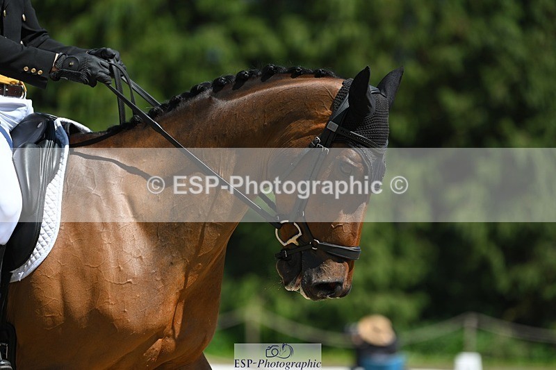 230526-144211-06990 - 484-MERMUS_R_DIAMONDS-Richard_Coney-DR