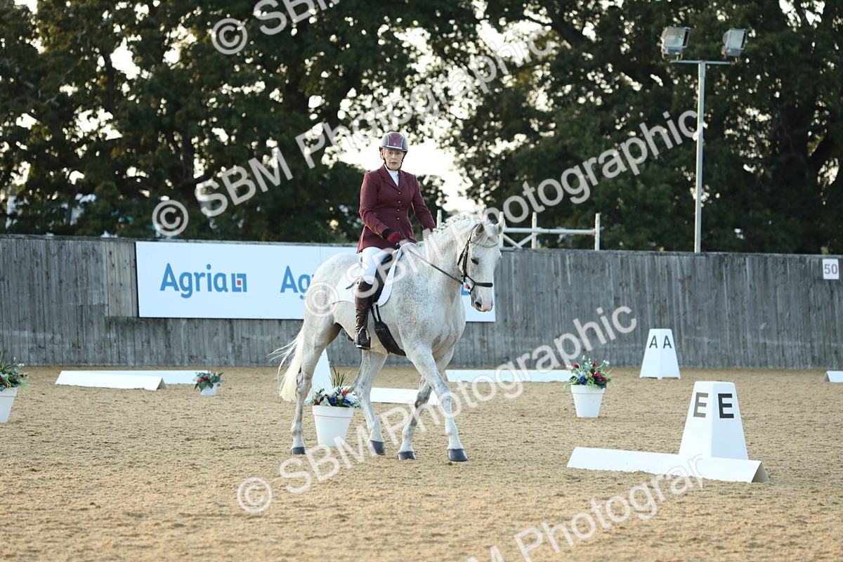 SBM_31178 - D20 - Grand Tour Championship - Elementary 44