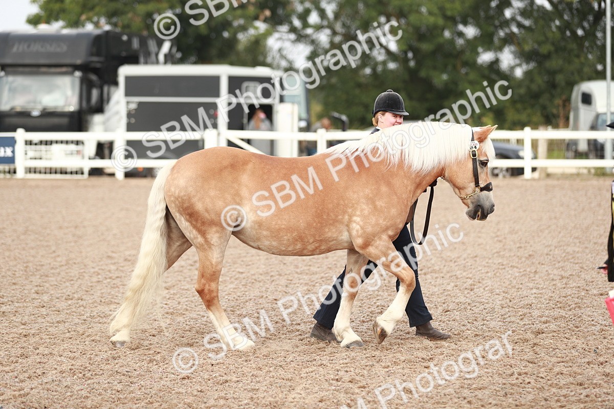 SBM_09488 - Class 201 Best Turned Out IH