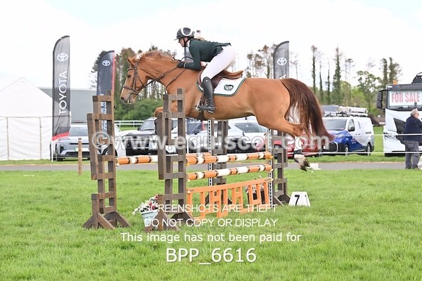 BPP_6616 - CLASS 6 1M AM CHAMP