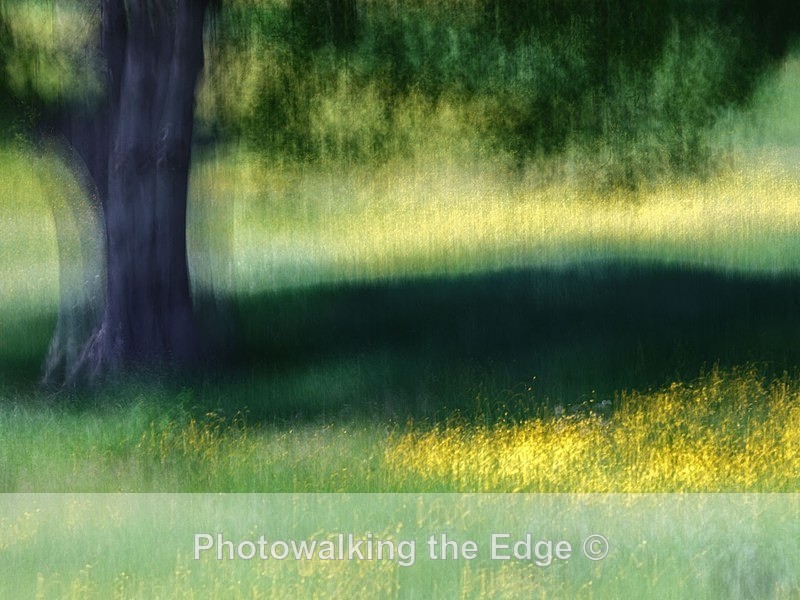 4 Seasons - Abstract - ICM
