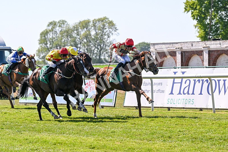 170525-Race 5-Mirsky-8497 - Race 5