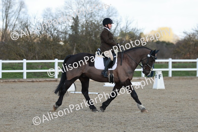 20260314-4441 - DR4 - Prelim 2