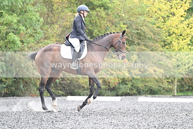 WJ7_3864 - Time 11:04 to 11:38