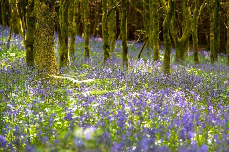 MF1_4575 - Other Areas of Inland Donegal