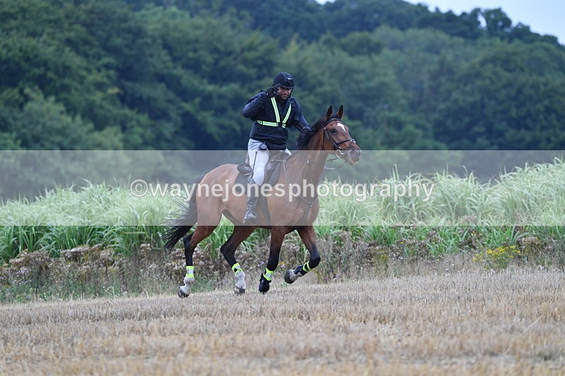 WJ5_3262 - Sofian Francis