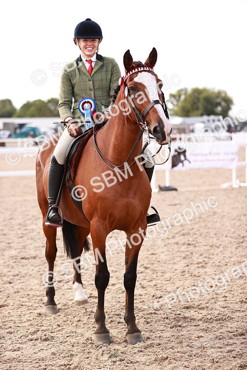 SBM_14488 - Class 410 - Grassroots Ridden - Horse
