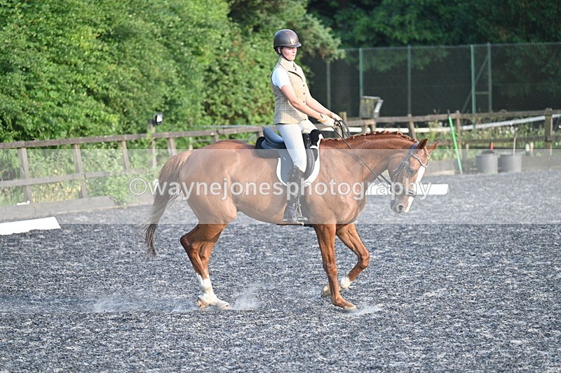 WJ7_0365 - Time 19:38 to 20:00