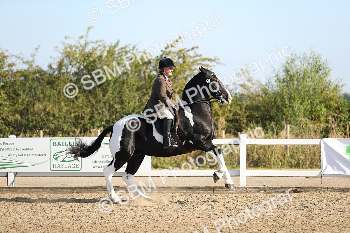 SBM_01270 - Class 42 Ridden Veteran