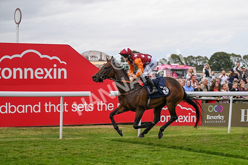 250824-Race 5-Lincoln Rockstar-3689 - Race 5