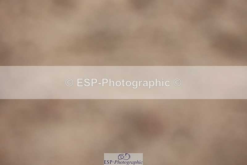 250621-090717-05927 - Cls 28 - Freestyle Novice