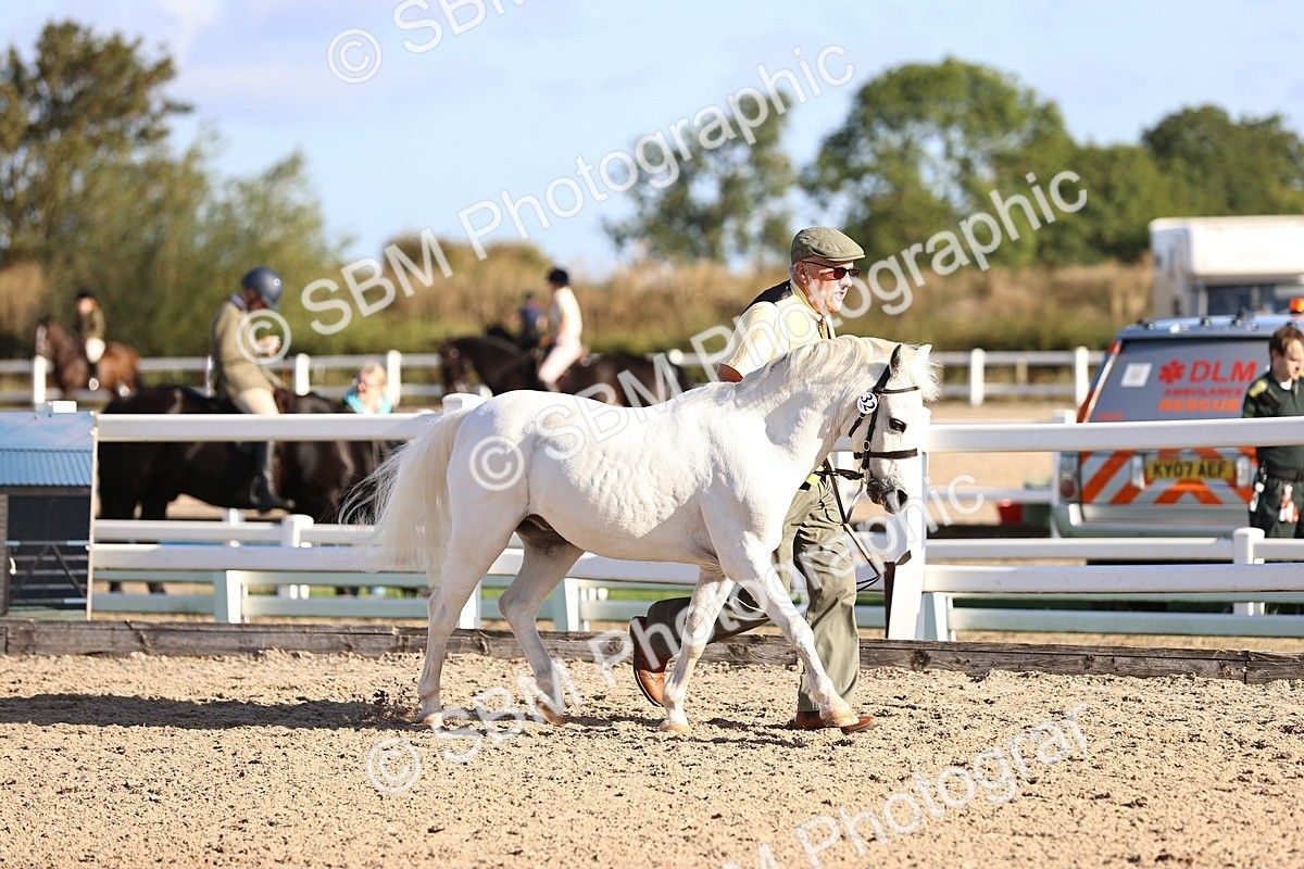 SBM_08430 - Class 402 - IH Veteran Pony