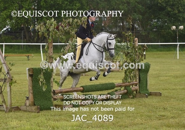 JAC_4089 - 40CM WORKING HUNTER