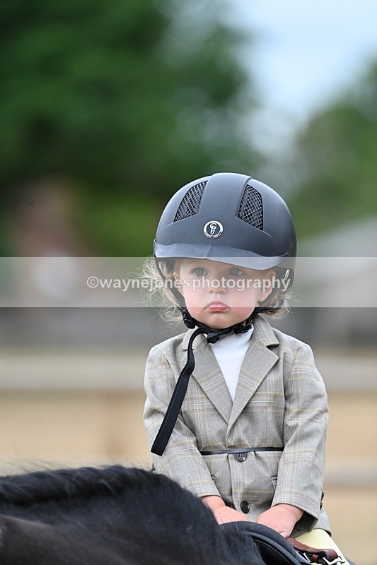 WJ7_9894 - Class 1 Lead Rein Pony