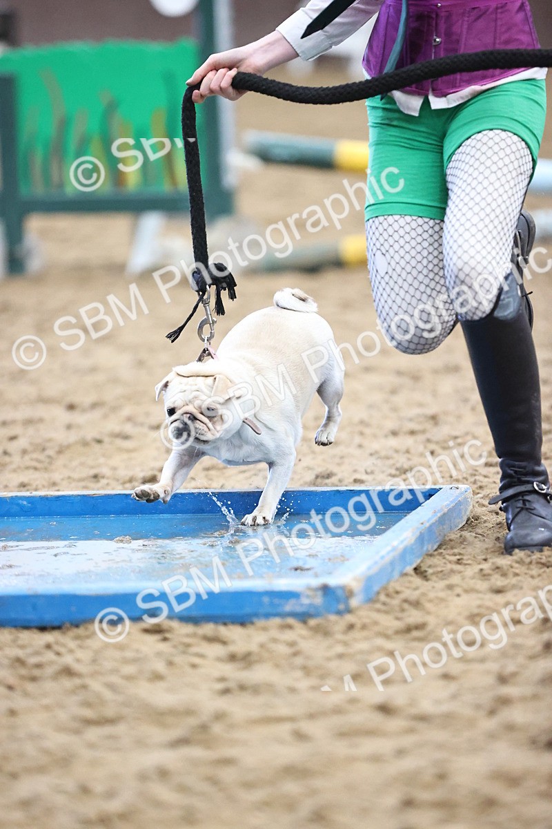 SBM_001653 - Class 3 - Horse & Hound 60cm