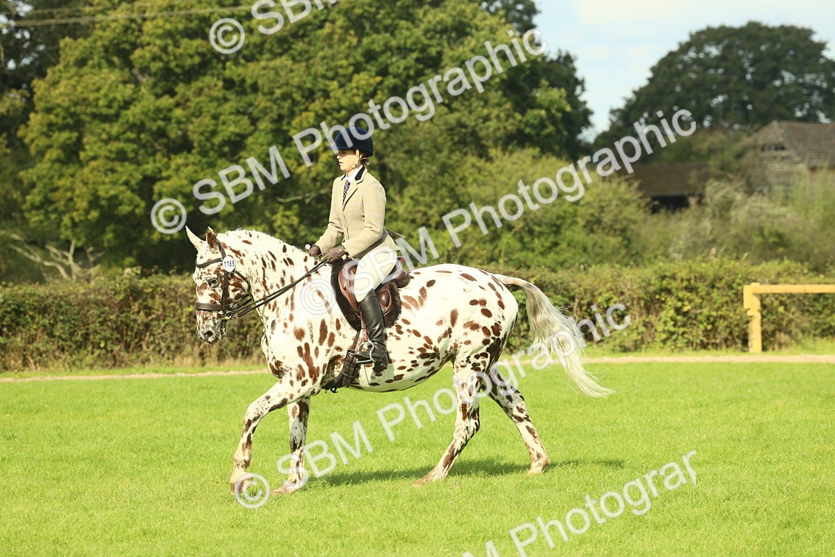 SBM_62474 - S62 - Foreign Breeds Ridden