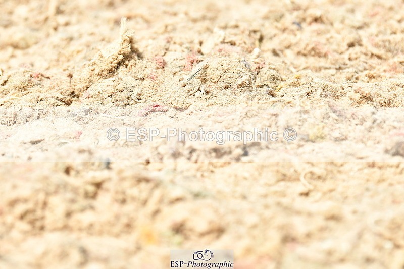 230701A-142356-06741 - Cls 11 Medium 73