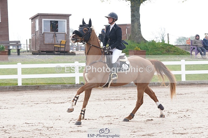 250425-090550-08299 - Cls 26 Young Horse 5yr old