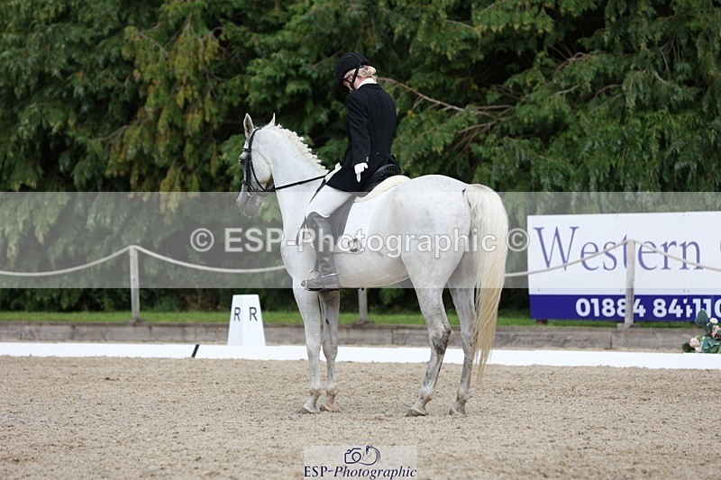 230812-152008-05112 - Cls 5 Novice Bronze 15.00 to End