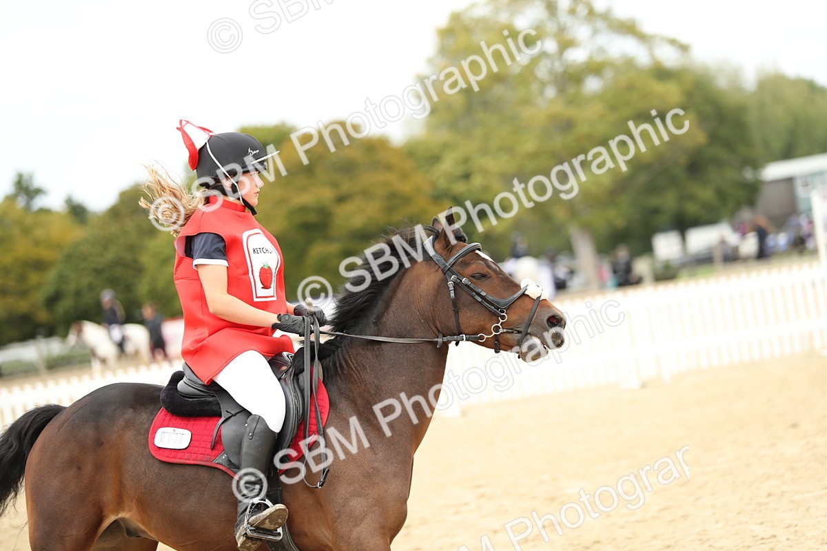 SBM_65838 - J48 - Pairs Jumping Open 70cm & 85cm