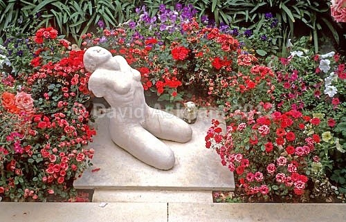 Nude - Gardens & plants