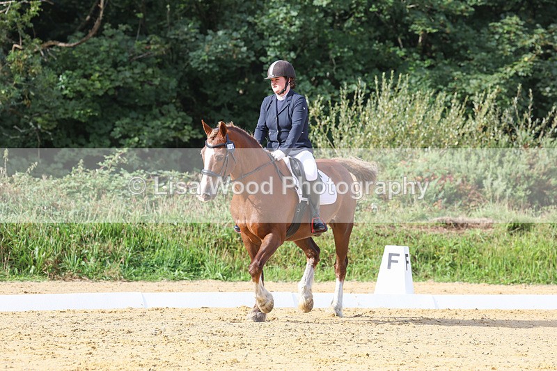 3E7A2252 - Class 1: Intro 4 2024 section A