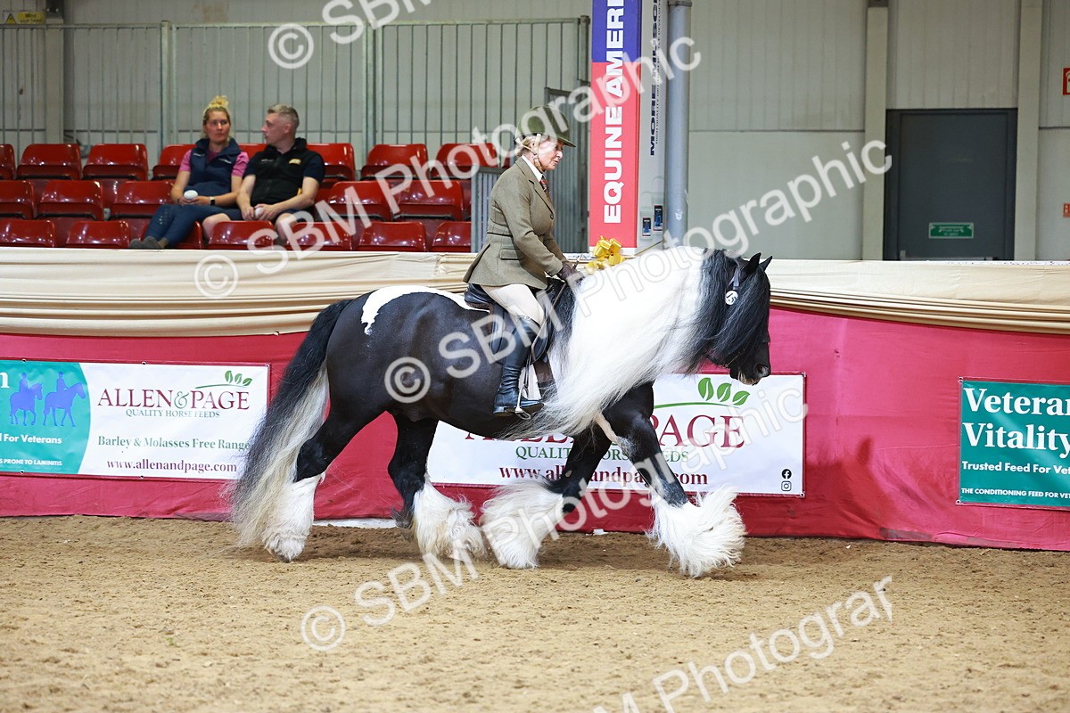 SBM_06159 - Class 12R - Ridden Pre-Vet