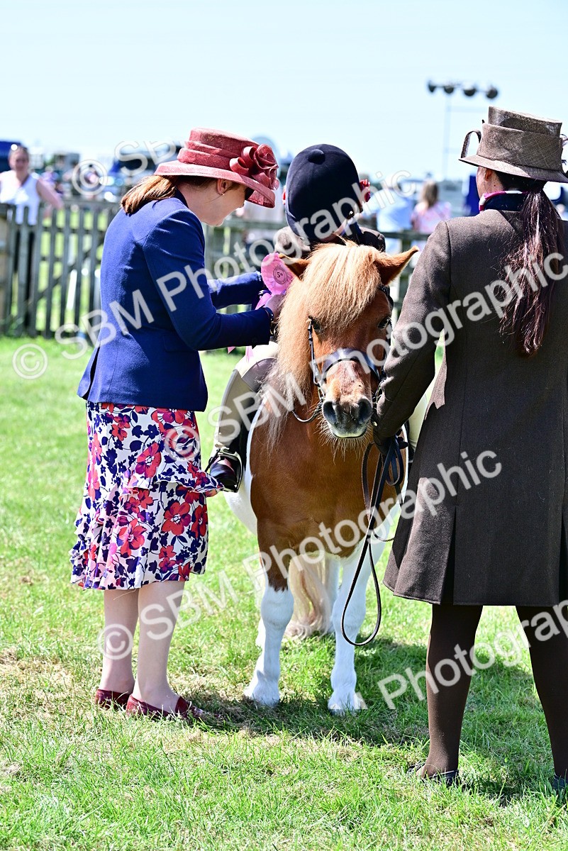 SBM_05967 - Class 59-60 - TSR M&M  Lear Rein and First Ridden Amateur of the year
