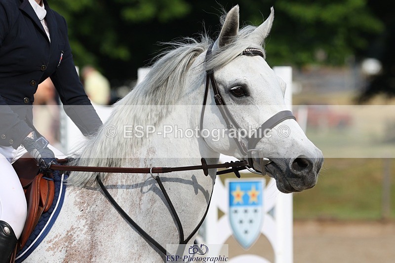 230617-082852-00238 - Cls 08a Pony 1.05