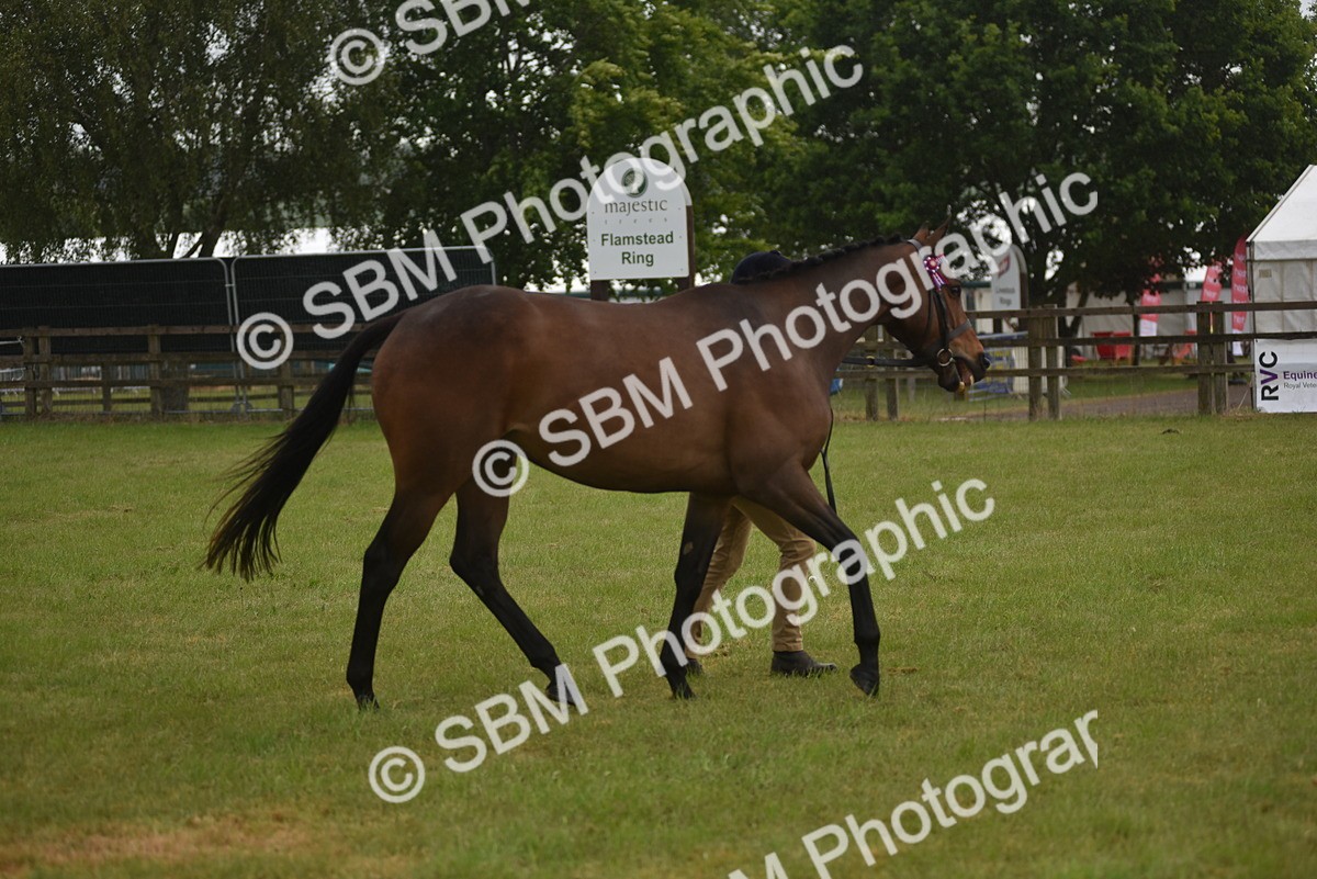 SBM_10664 - Class 109 - Retraining of Racehorses in Hand