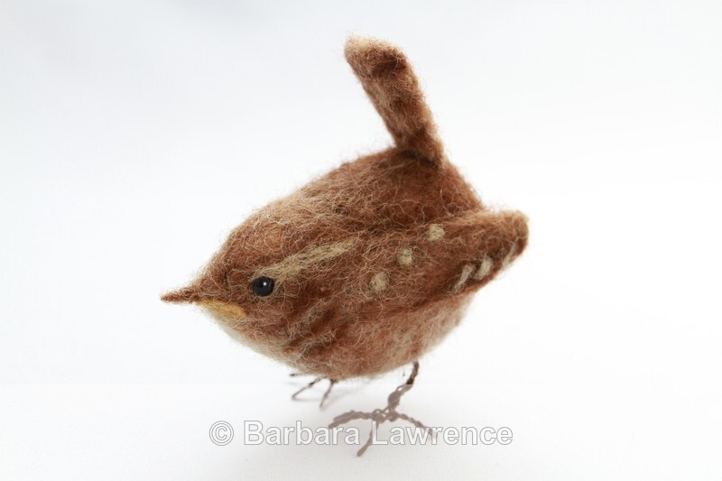 Wren - Gallery