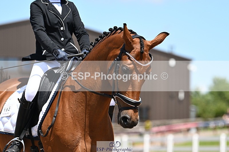 240621A-133038-04080 - Cls 8 BD Elementary 53