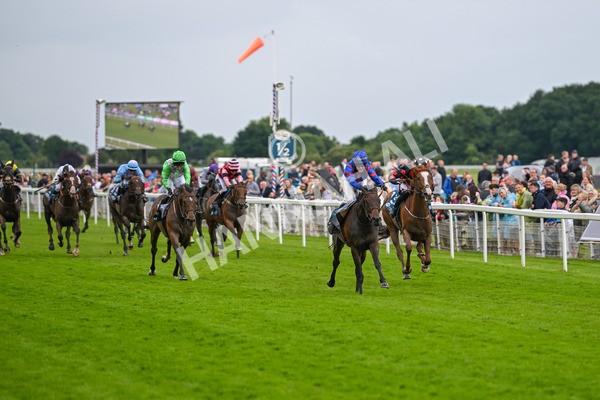 150624-Race 1-Lord Melbourne-6702 - Race 1 1.50pm Queen Mother's Cup Handicap