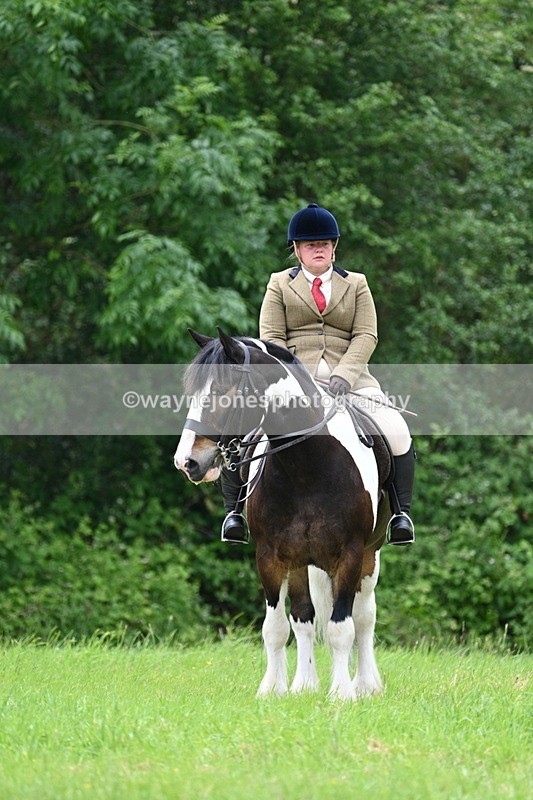 WJ7_2188 - Class 12A Coloured Class