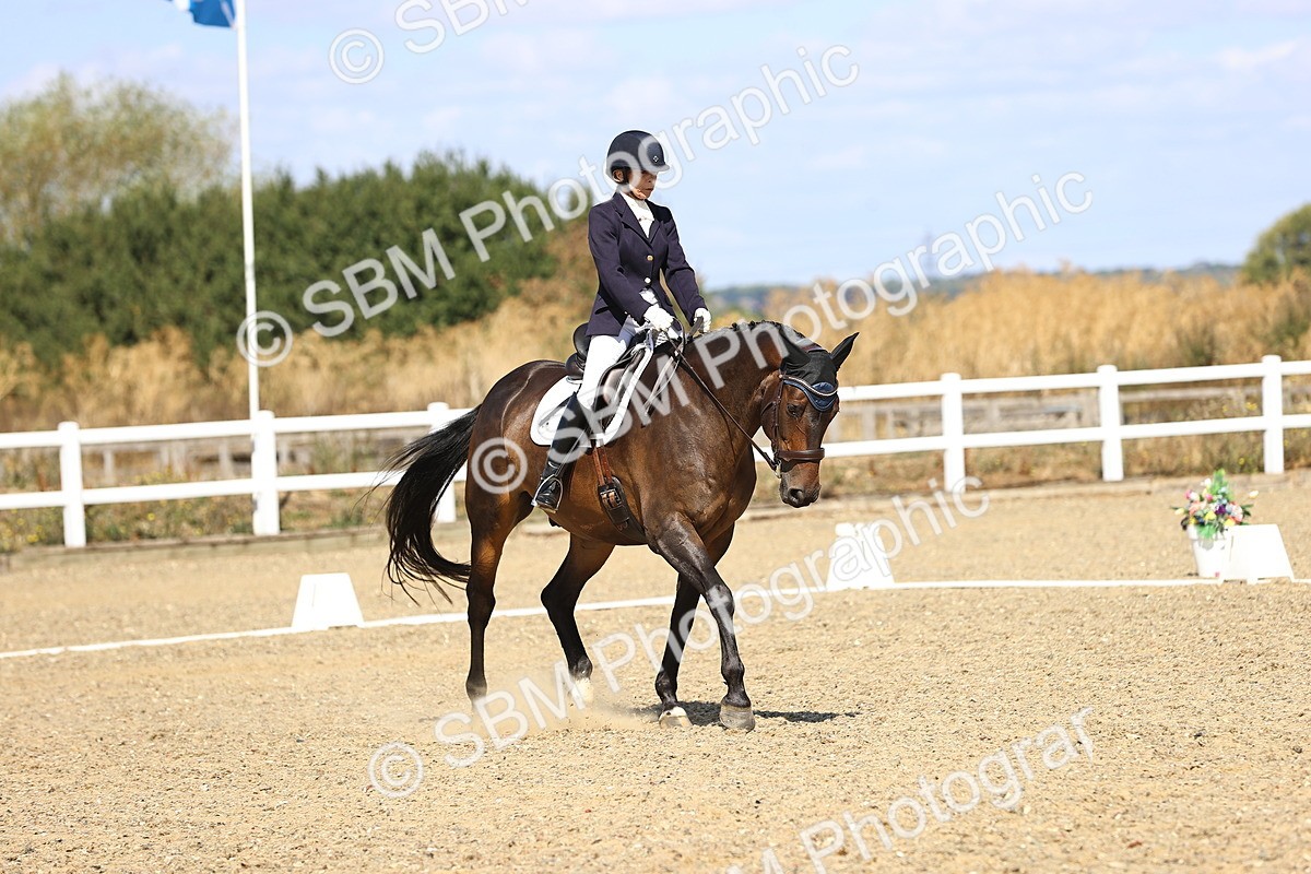 SBM_013910