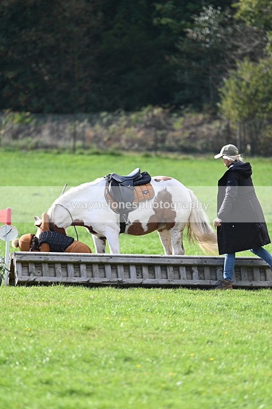 WJ7_3982 - 40cm Time 10:26 to 10:42