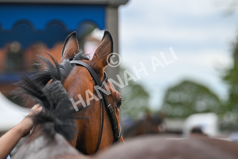 300825-Race 3-Secret Echo-0916 - Race 3