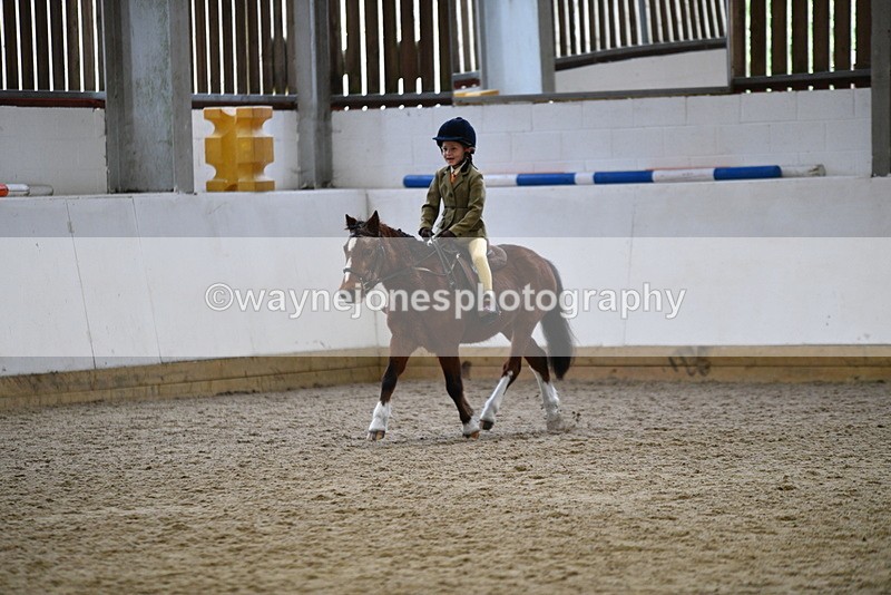 WJ5_6996 - Class 10 Childs Pony