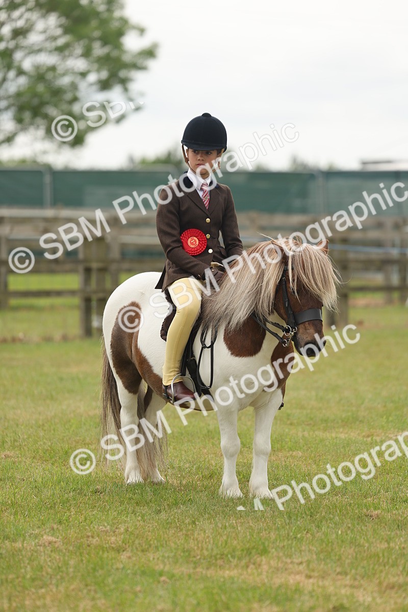 SBM_09147 - Class 78-80 - Ridden M&M Non Welsh Ponies