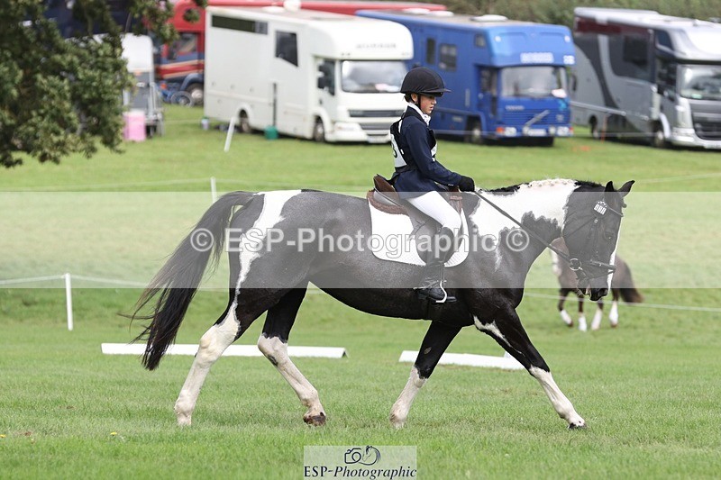 231019-135406-03807 - 438-KILCORBAN.MY.FAIR.LADY-Natasha.Crapper-DR