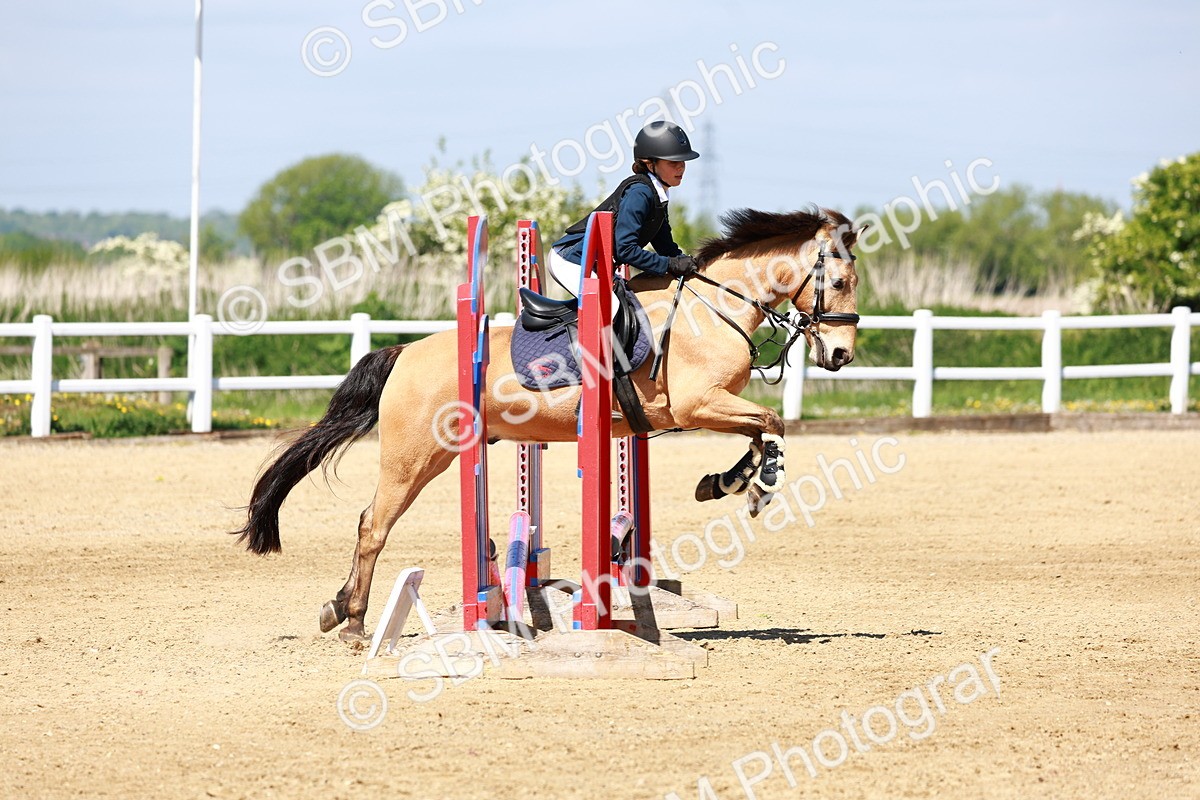 SBM_007555 - Class 3 - 60cm