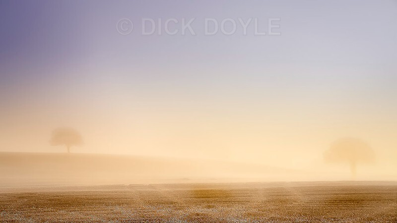 Golden dawn Marlfield - Minimalist landscapes