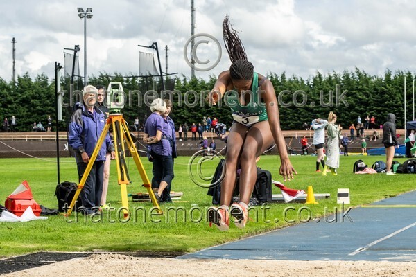 SIAB23-915268 - Field Female Set Two