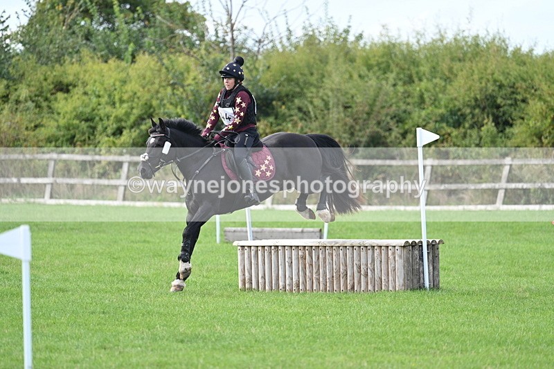 WJ7_8346 - 60cm Pairs