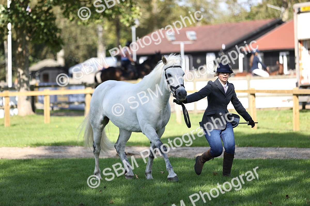 SBM_26202 - S5 - Novice & Newcomers In Hand