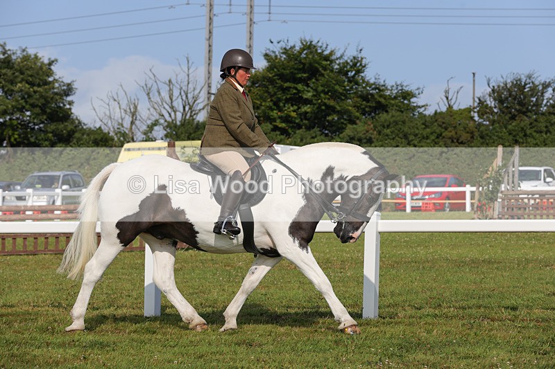 1X9A3207 - Class 28: Ridden Native/Trad Coloured Pony