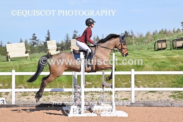 BPP_2036 - CLASS 3 - FRI - Senior British Novice/90cms Open